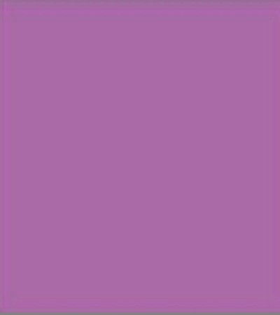 Кухня Джотто Кухня Джотто