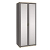 Шкаф Карина для одежды и белья 2 дв. с зеркалом Снежный Ясень - Серый Оникс