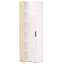 Шкаф Chelsea белая переходный со стеллажом (туя) 608/400 Шкаф Chelsea белая переходный со стеллажом (туя) 608/400