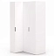Шкаф SOHO белая угл. 400/608, огран. (угл.+2дв.FCB, гл.608) Шкаф SOHO белая угл. 400/608, огран. (угл.+2дв.FCB, гл.608)
